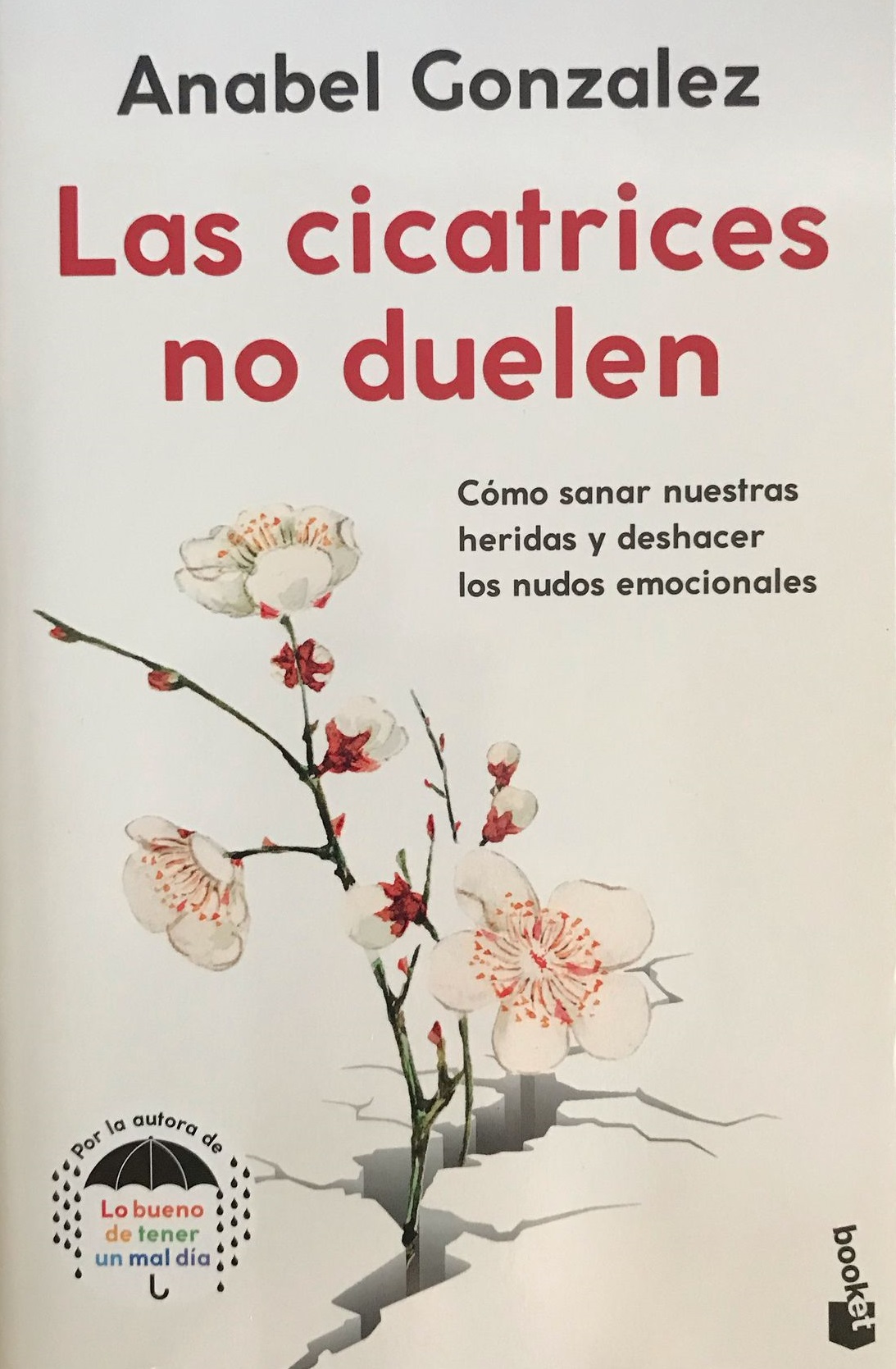las cicatrices no duelen